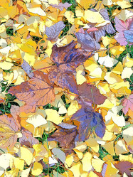 Similar image 21692353