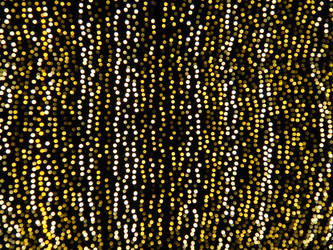 Similar image 21692355