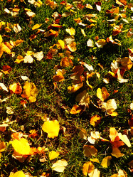 Similar image 21692360