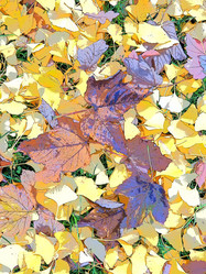 Similar image 21692367