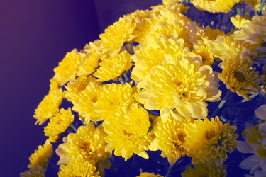 Similar image 21692375