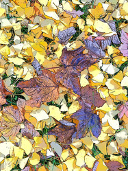 Similar image 21692378