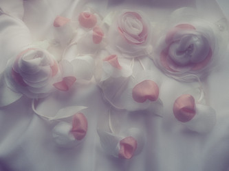 Similar image 21692392