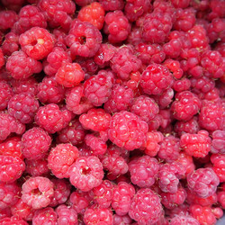 Similar image 21692394