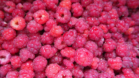 Similar image 21692395