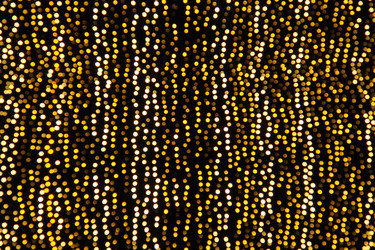 Similar image 21692402