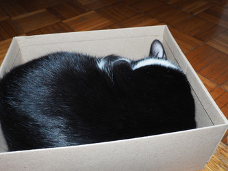 Similar image 21692405