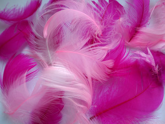 Similar image 21692616