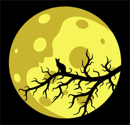 Similar image 21686132