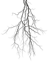 Similar image 21686138