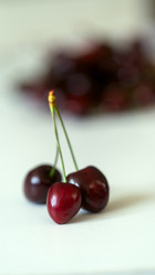 Similar image 21689077