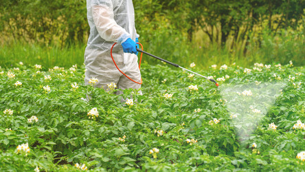 Similar image 21689080