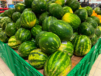 Similar image 21689084