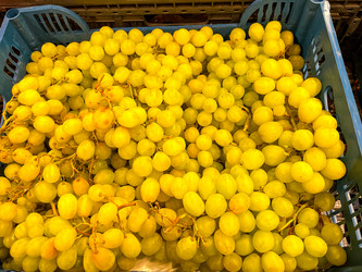 Similar image 21689088