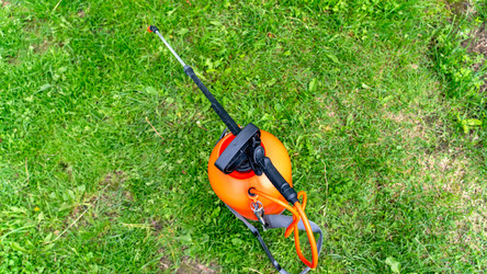 Similar image 21689089