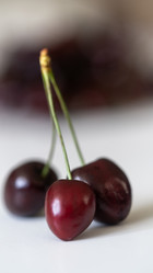 Similar image 21689107