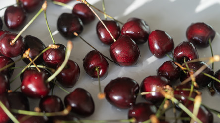 Similar image 21689108