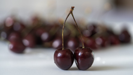 Similar image 21689111