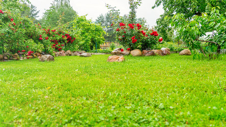 Similar image 21689114