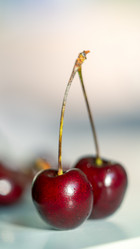 Similar image 21689117