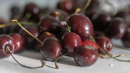 Similar image 21689124