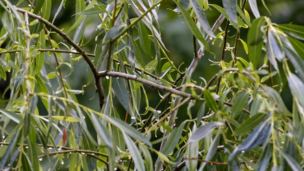 Similar image 21689133