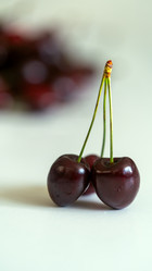 Similar image 21689135