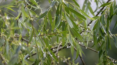 Similar image 21689138