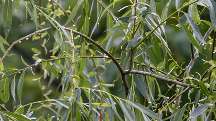 Similar image 21689139