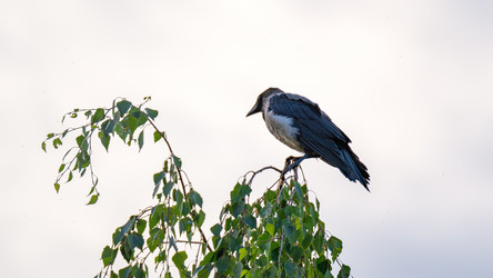 Similar image 21689144