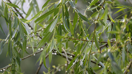 Similar image 21689150