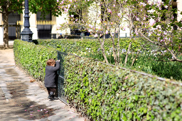 Similar image 21688305