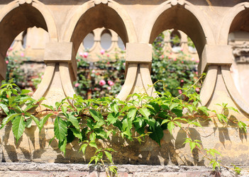 Similar image 21685871