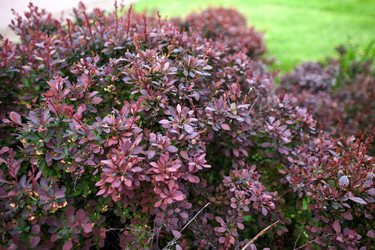 Similar image 21685872