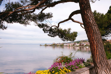 Similar image 21685873