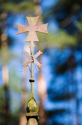 Similar image 21686670