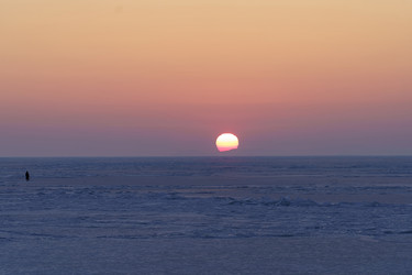 Similar image 21686196