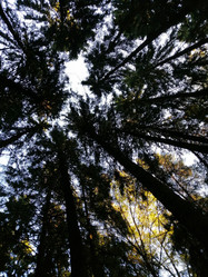 Similar image 21686671