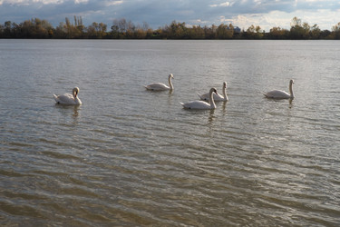 Similar image 21692408