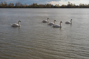 Similar image 21692409