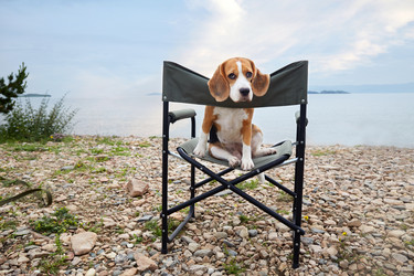 Similar image 21685877