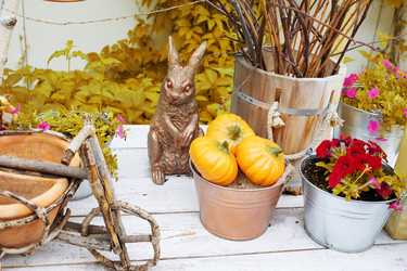 Similar image 21685881