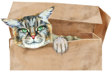 Similar image 21699053