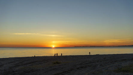 Similar image 21686188