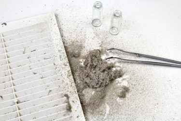 Similar image 21686197