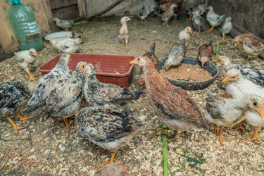 Similar image 21691295