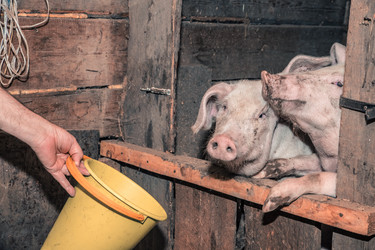 Similar image 21691296