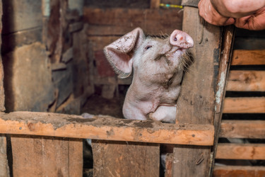 Similar image 21686200