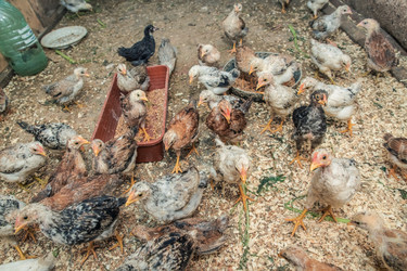 Similar image 21686201