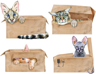 Similar image 21691098